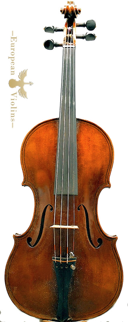 leonidas Nadegini violin