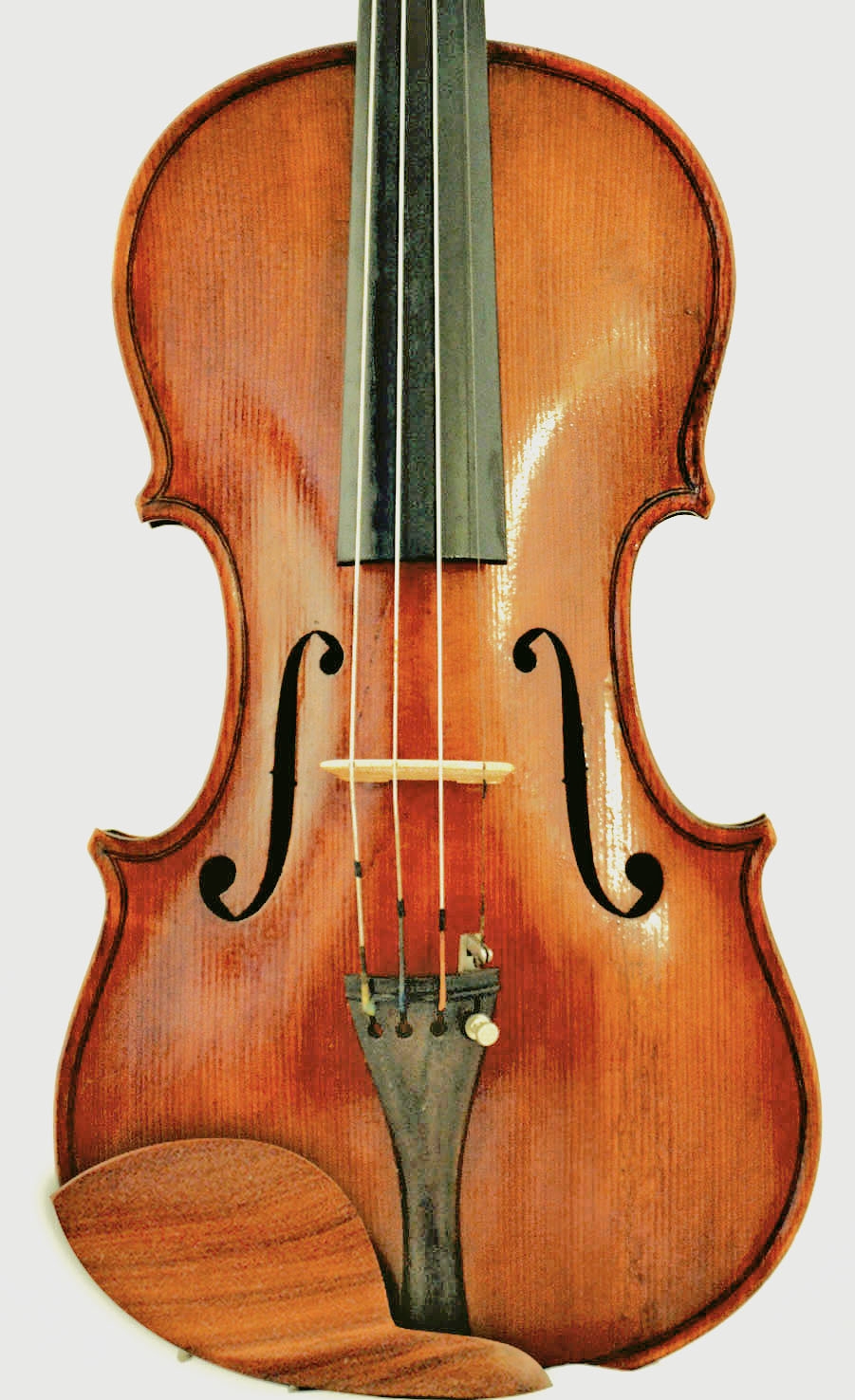 Giuseppe-Tarasconi-violin - 1887 Parma