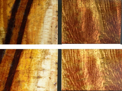 stradivari-varnish-close-up