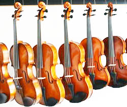 violin shop